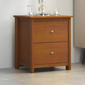 Galano 2-Drawer Nightstand with Storage 18.7 W 15.7 D 21.8 H