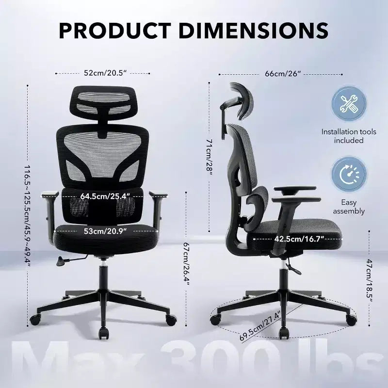Acekool Ergonomic Office Chair with 3D Lumbar, Adjustable Armrest, Mesh, for Home Office