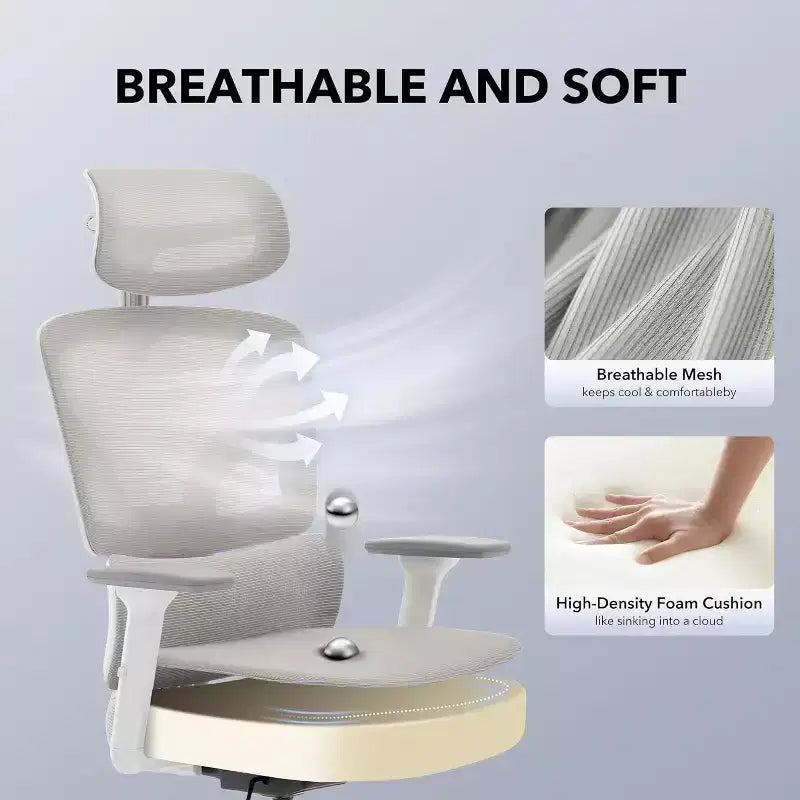 Acekool Ergonomic Office Chair with 3D Lumbar, Adjustable Armrest, Mesh, for Home Office