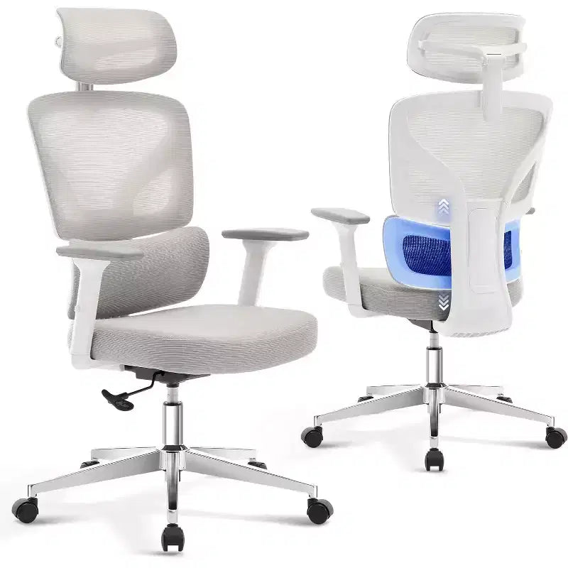 Acekool Ergonomic Office Chair with 3D Lumbar, Adjustable Armrest, Mesh, for Home Office